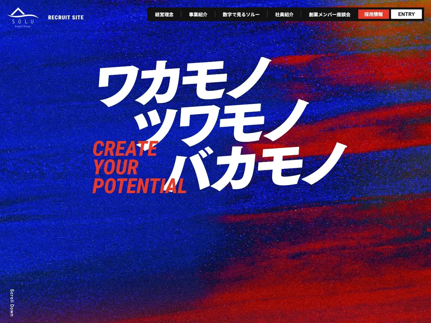 ソルー株式会社｜採用特設サイト - 東京のWEBマーケティング会社